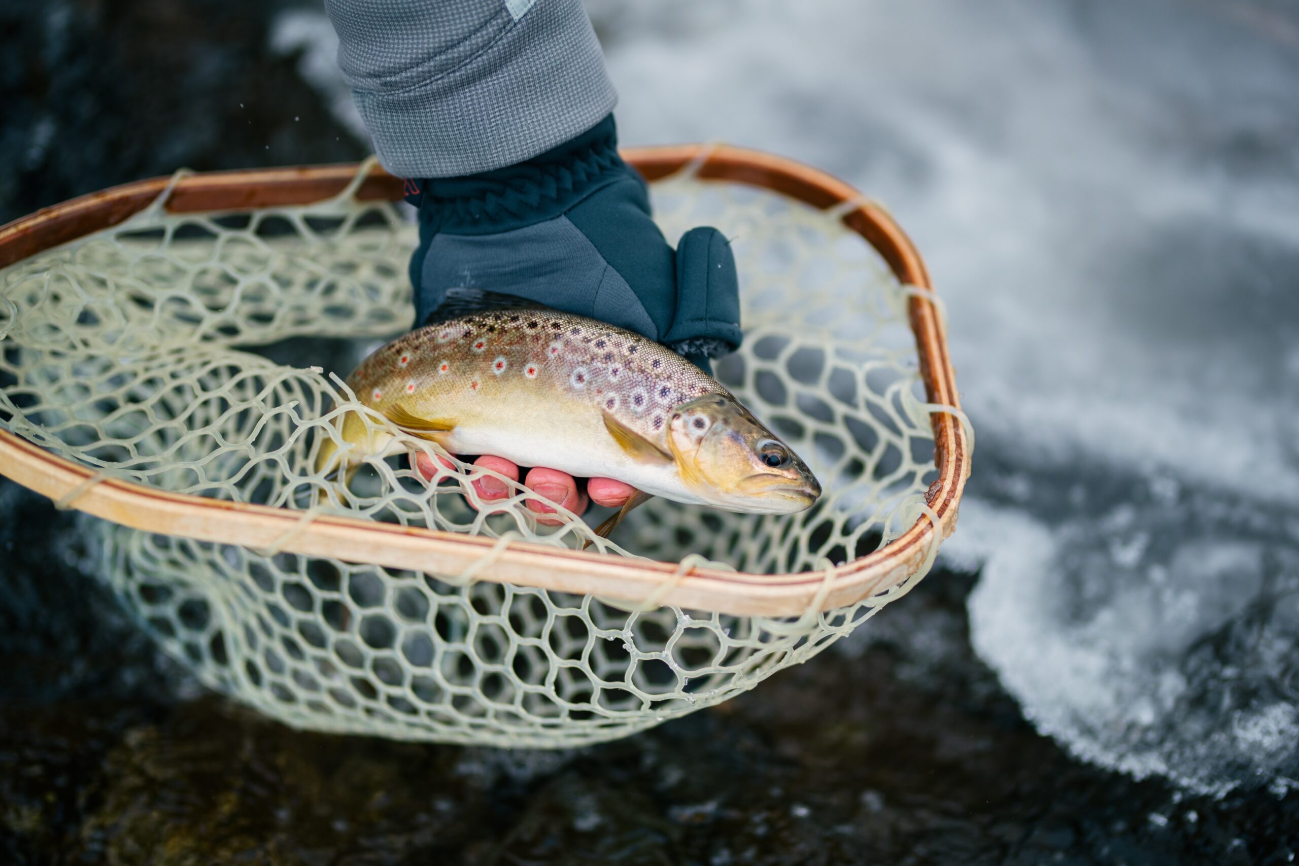 American Fly Fishing Magazine Subscription Discount 38%